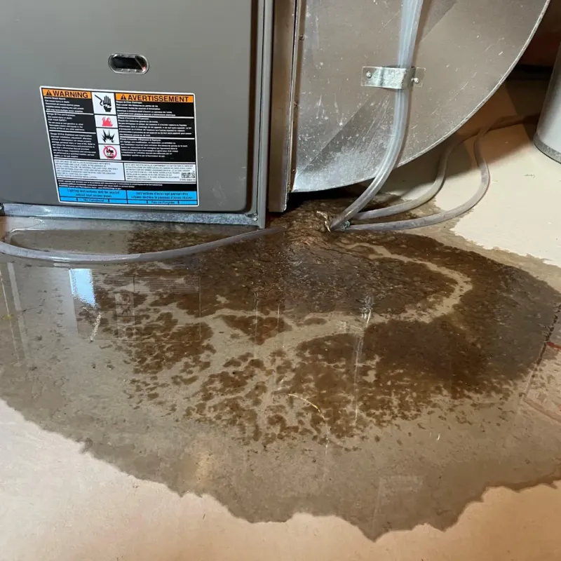 Appliance Leak Cleanup in Allegany County, NY